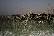 IMG_2561