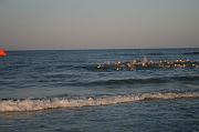 IMG_2586