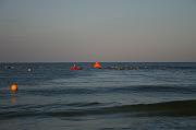 IMG_2587
