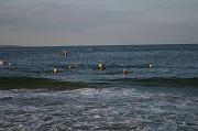 IMG_2593