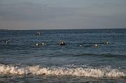 IMG_2595