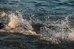 IMG_6902