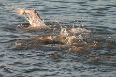 IMG_6904
