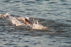 IMG_6905