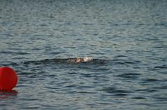 IMG_6908