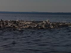 P6060075