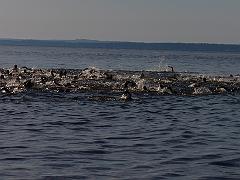 P6060076