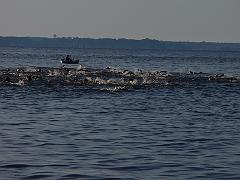 P6060078