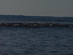 P6060079