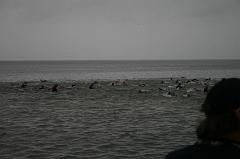 IMG_5985