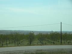 DSCN3083