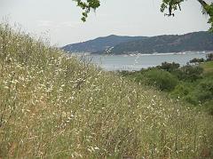 DSCN3093